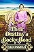 Their Destiny's Rocky Road by Ellen Knightley
