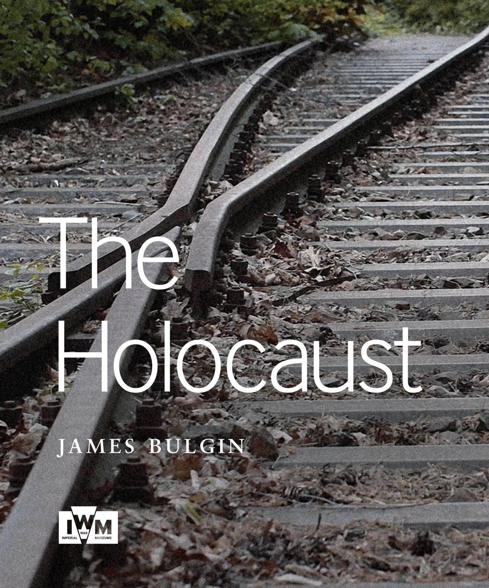 The Holocaust (Paperback)