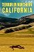 Terror in Northern California by N. Hall