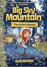 Big Sky Mountain:...