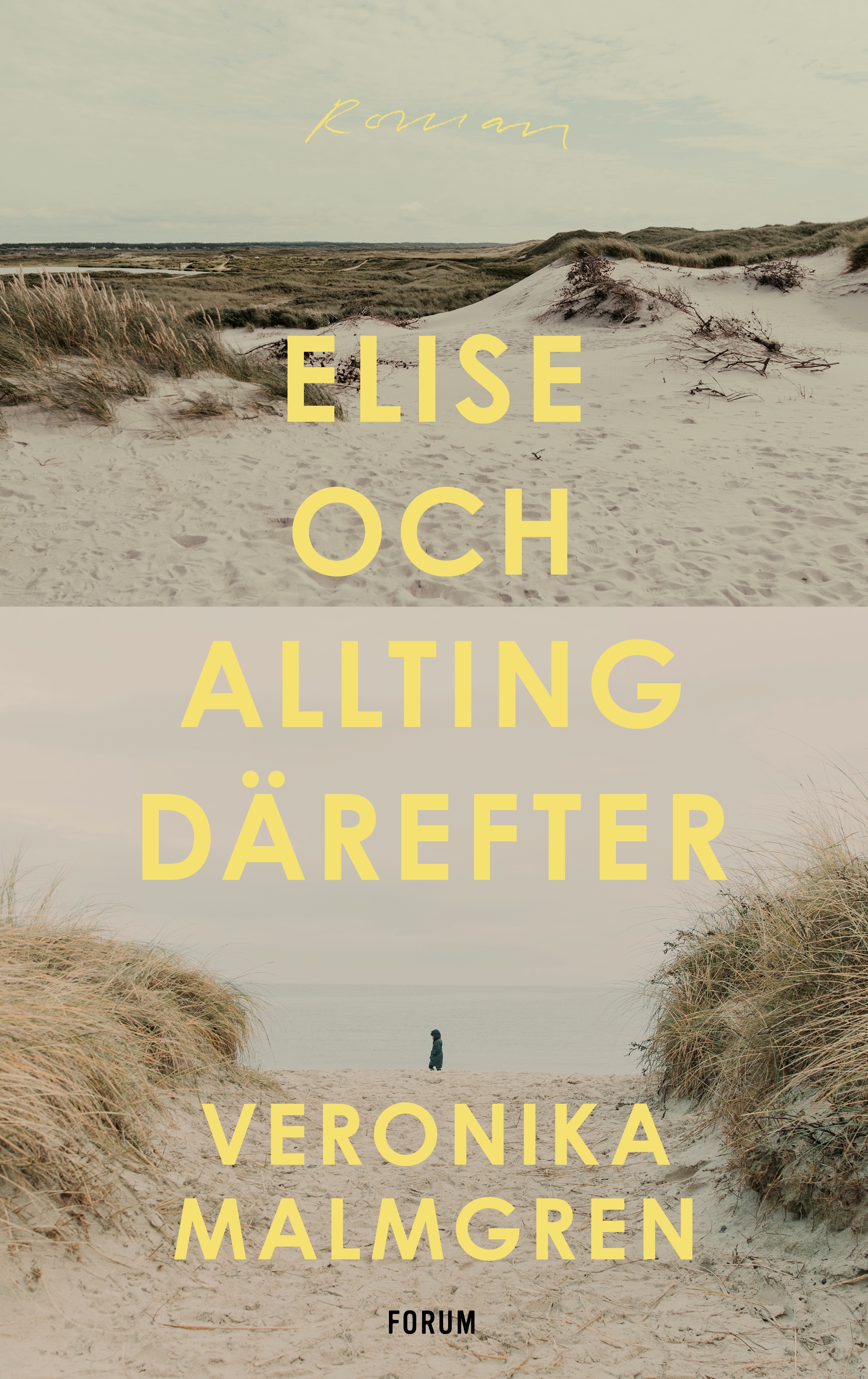 Elise och allting därefter (Hardcover)