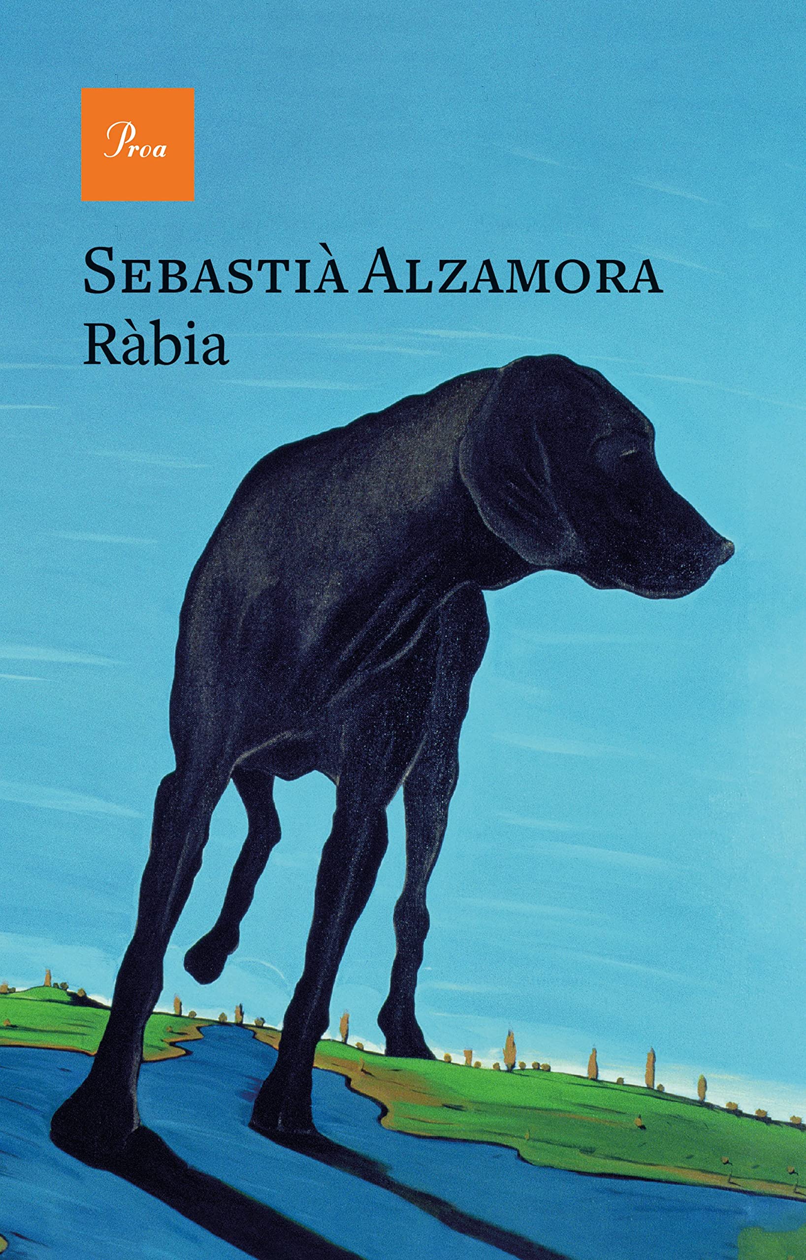 Ràbia (Hardcover)