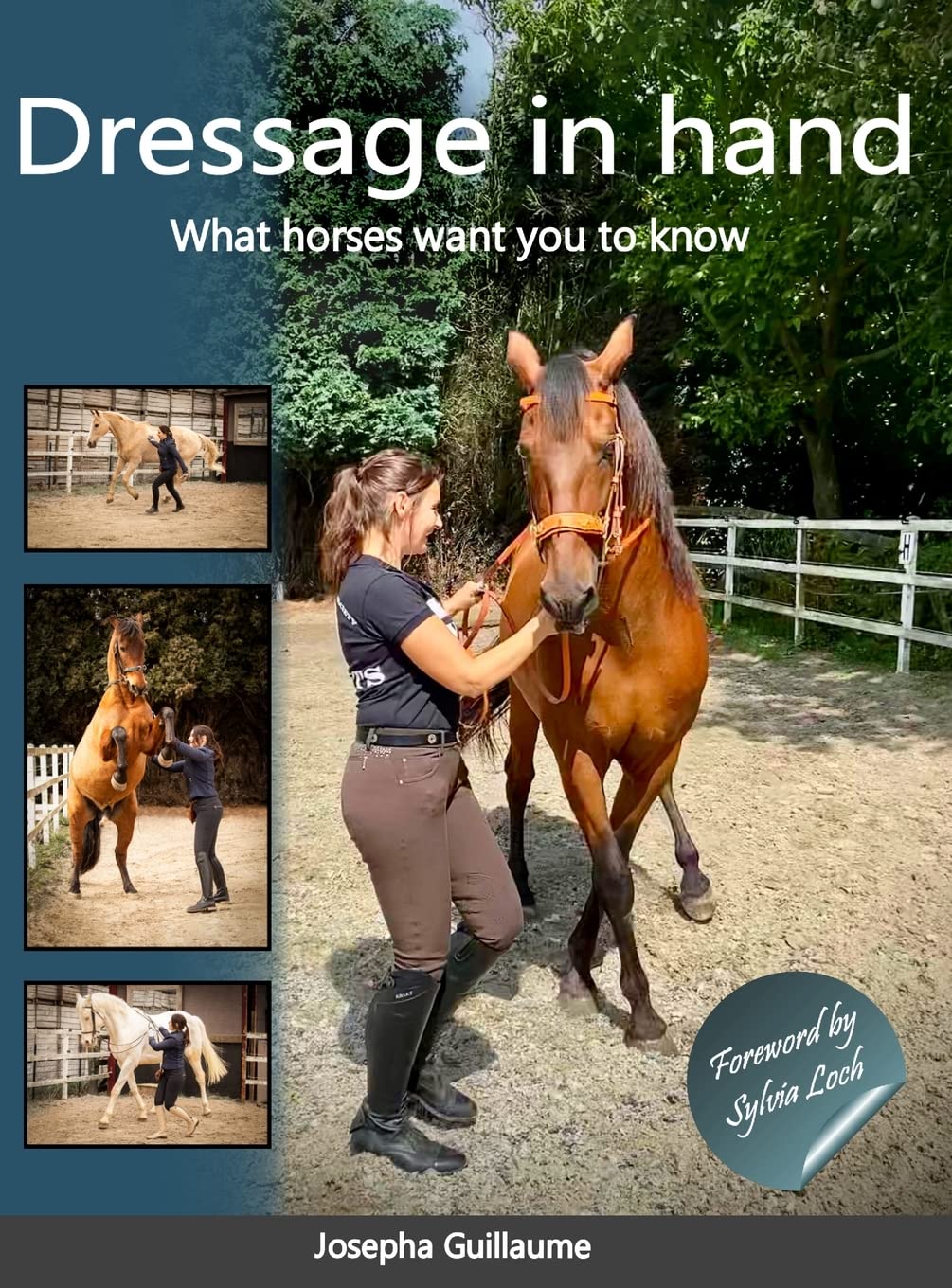 Dressage in hand: What horses want you to know (Hardcover)