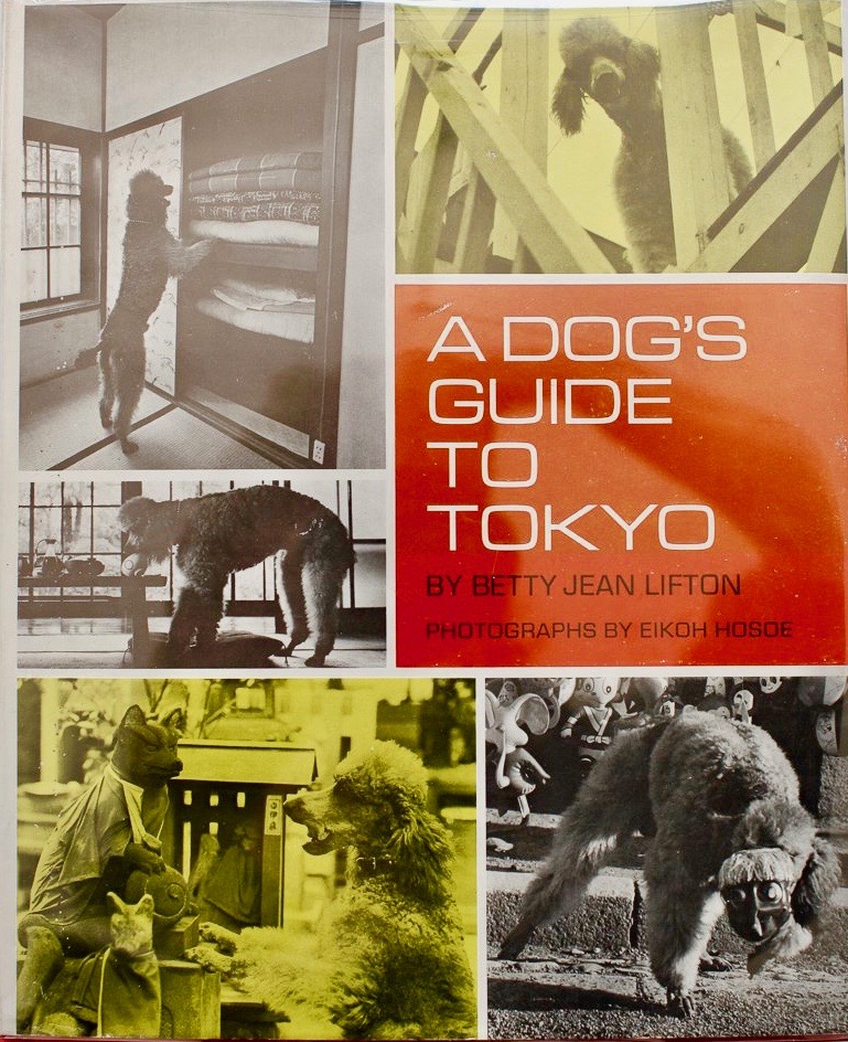A Dog's Guide to Tokyo (Hardcover)