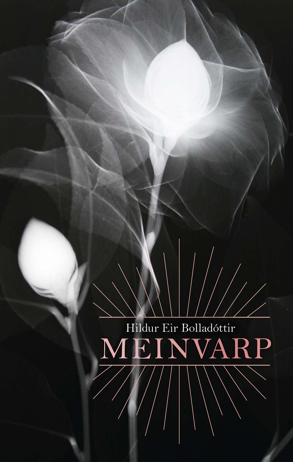 Meinvarp (Paperback)