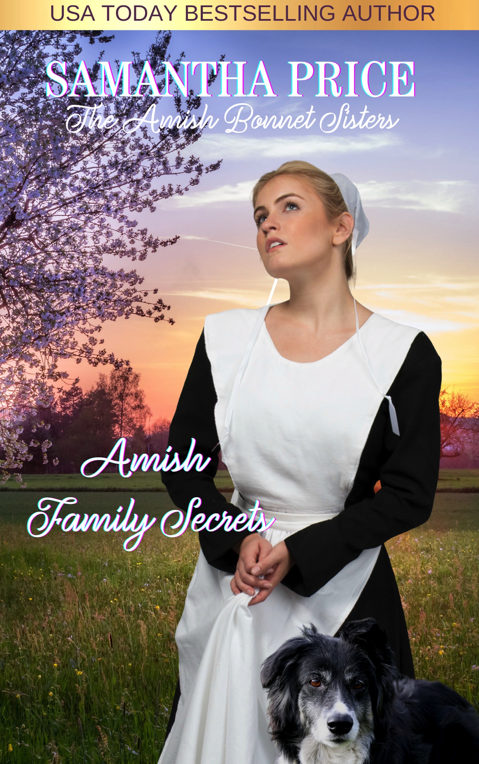 Amish Family Secrets (The Amish Bonnet Sisters, #5)