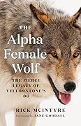 The Alpha Female Wolf: The Fierce Legacy of Yellowstone’s 06