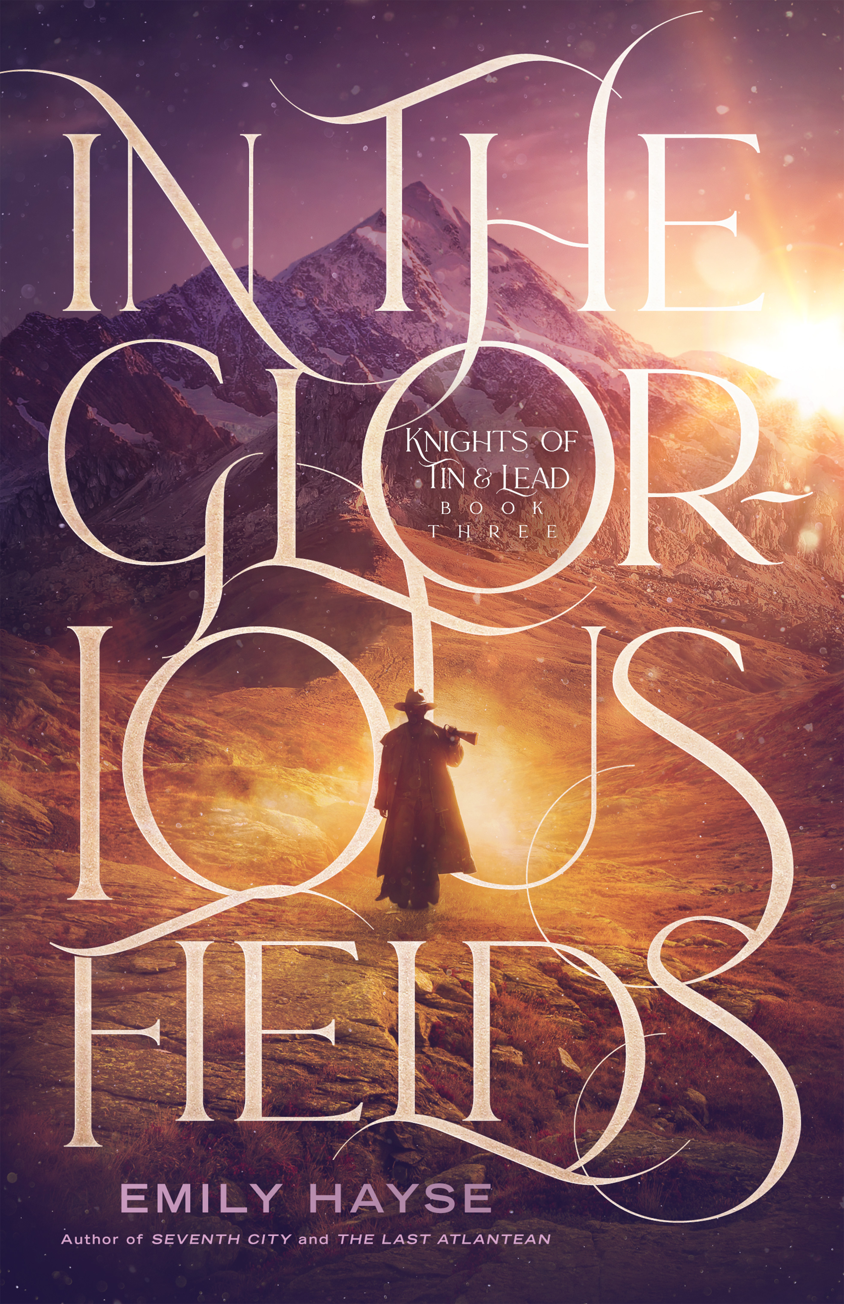 In the Glorious Fields (Knights of Tin and Lead, #3)