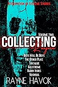 Collecting Rayne Volume 2