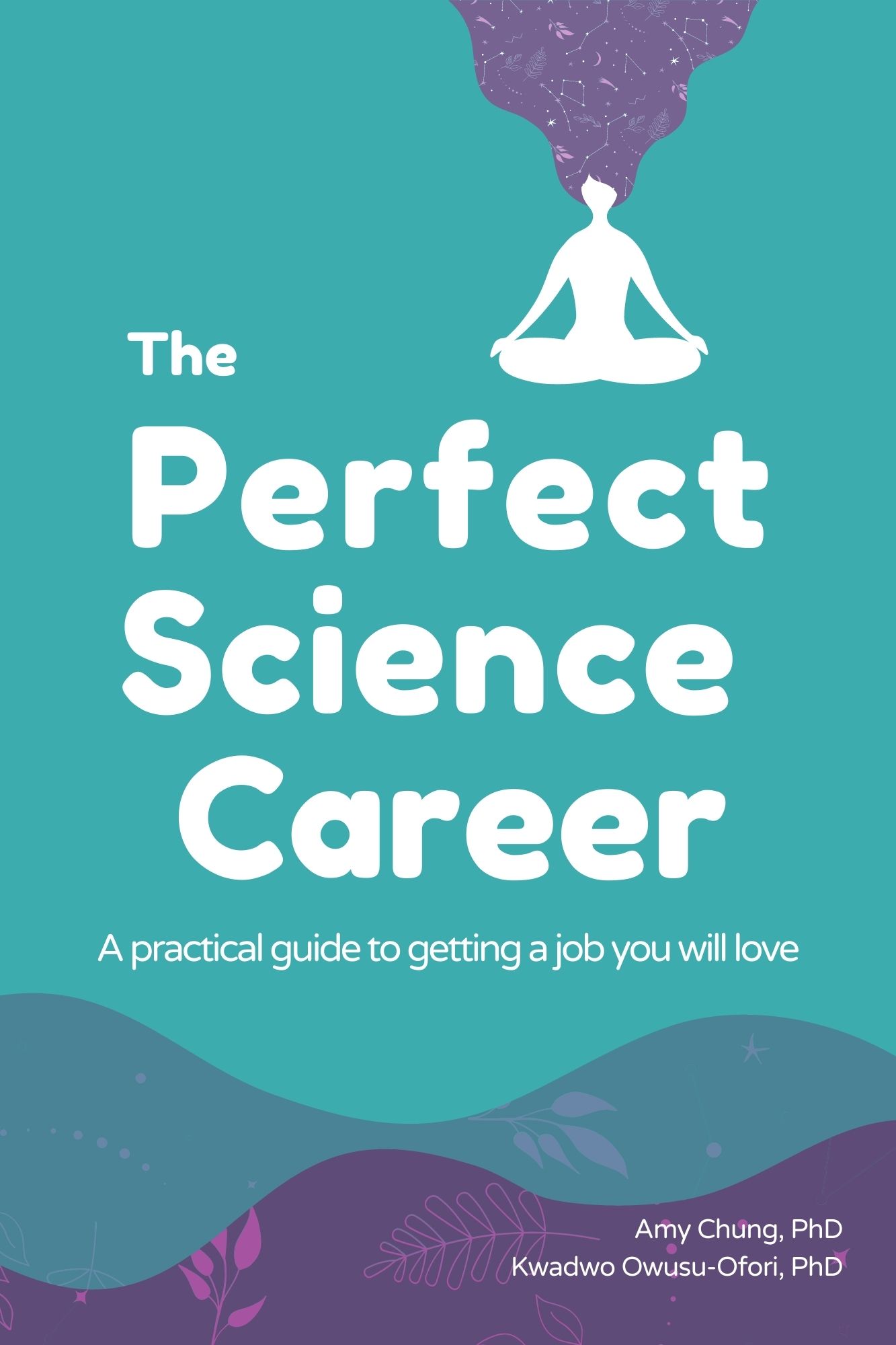 The Perfect Science Career: A Practical Guide to Getting a Job You Will Love