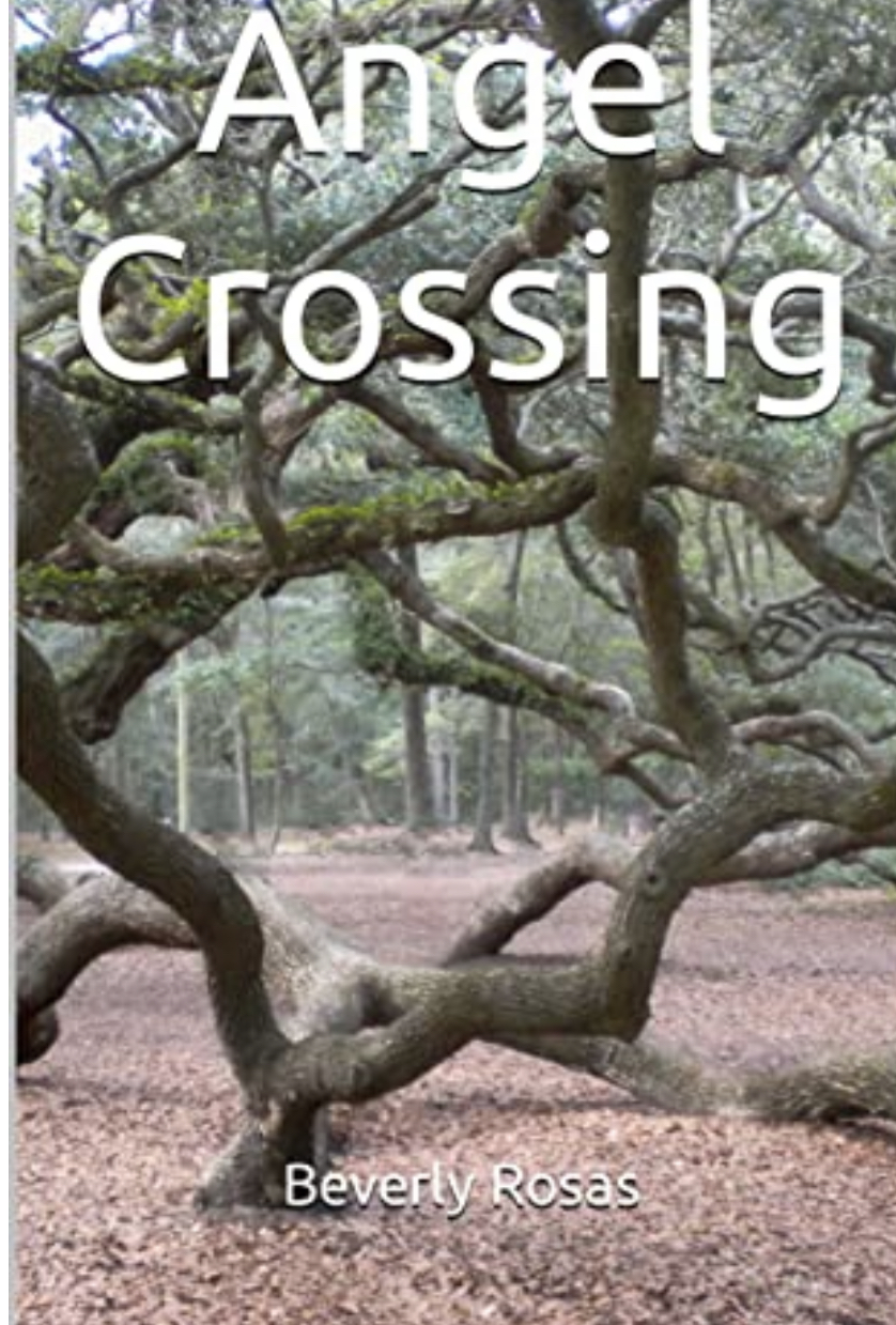 Angel Crossing