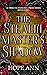 The Stealthmaster's Shadow:...