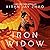 Iron Widow (Iron Widow, #1)