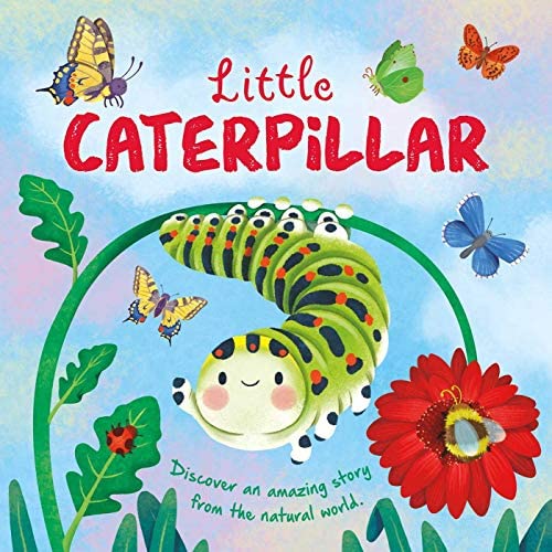 Little Caterpillar
