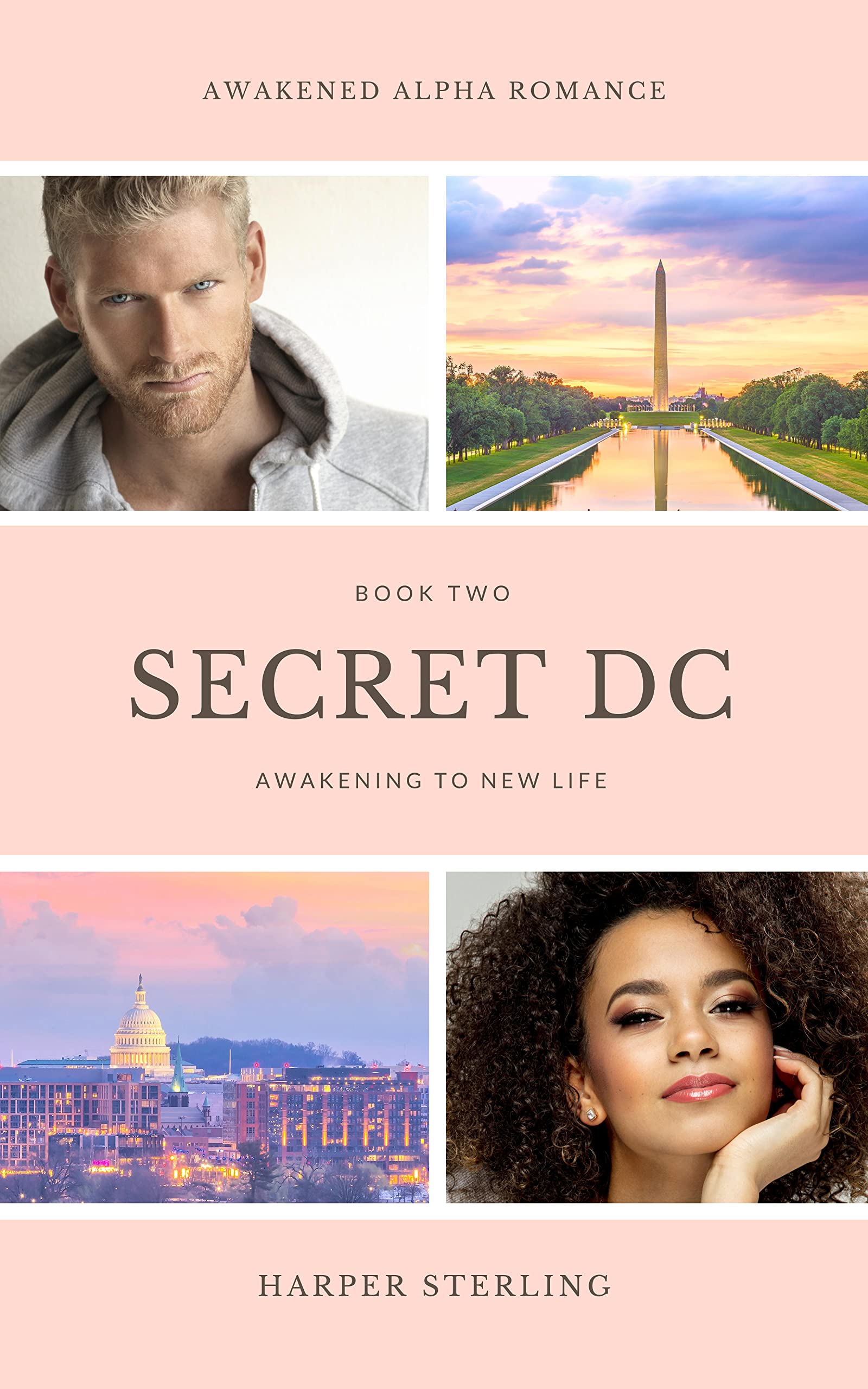 Secret DC Book Two: Awakening to New Life (Awakened Alpha Romance 2)