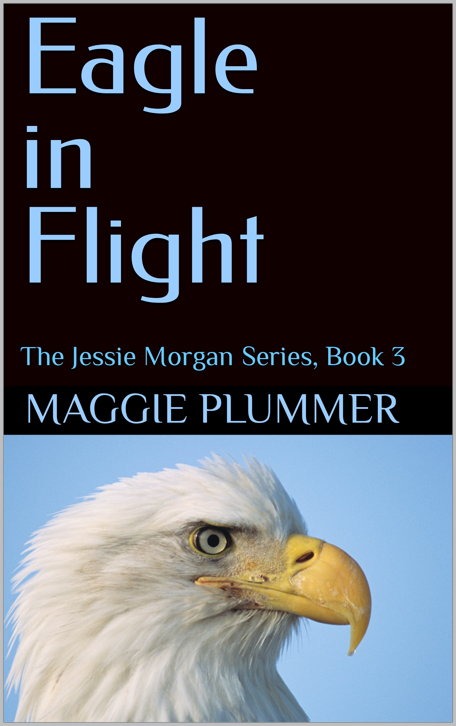 Eagle in Flight (The Jessie Morgan Series, #3)