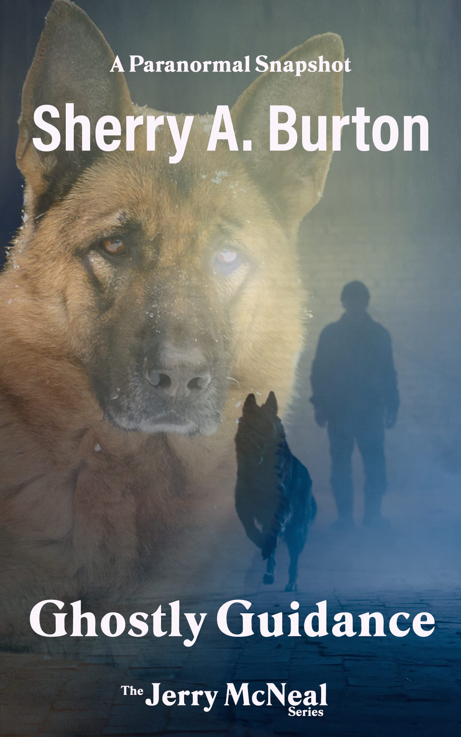Ghostly Guidance (Jerry McNeal, #2)