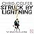 Struck By Lightning: The Carson Phillips Journal
