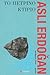 Το πέτρινο κτίριο by Aslı Erdoğan Το πέτρινο κτίριο by Aslı Erdoğan