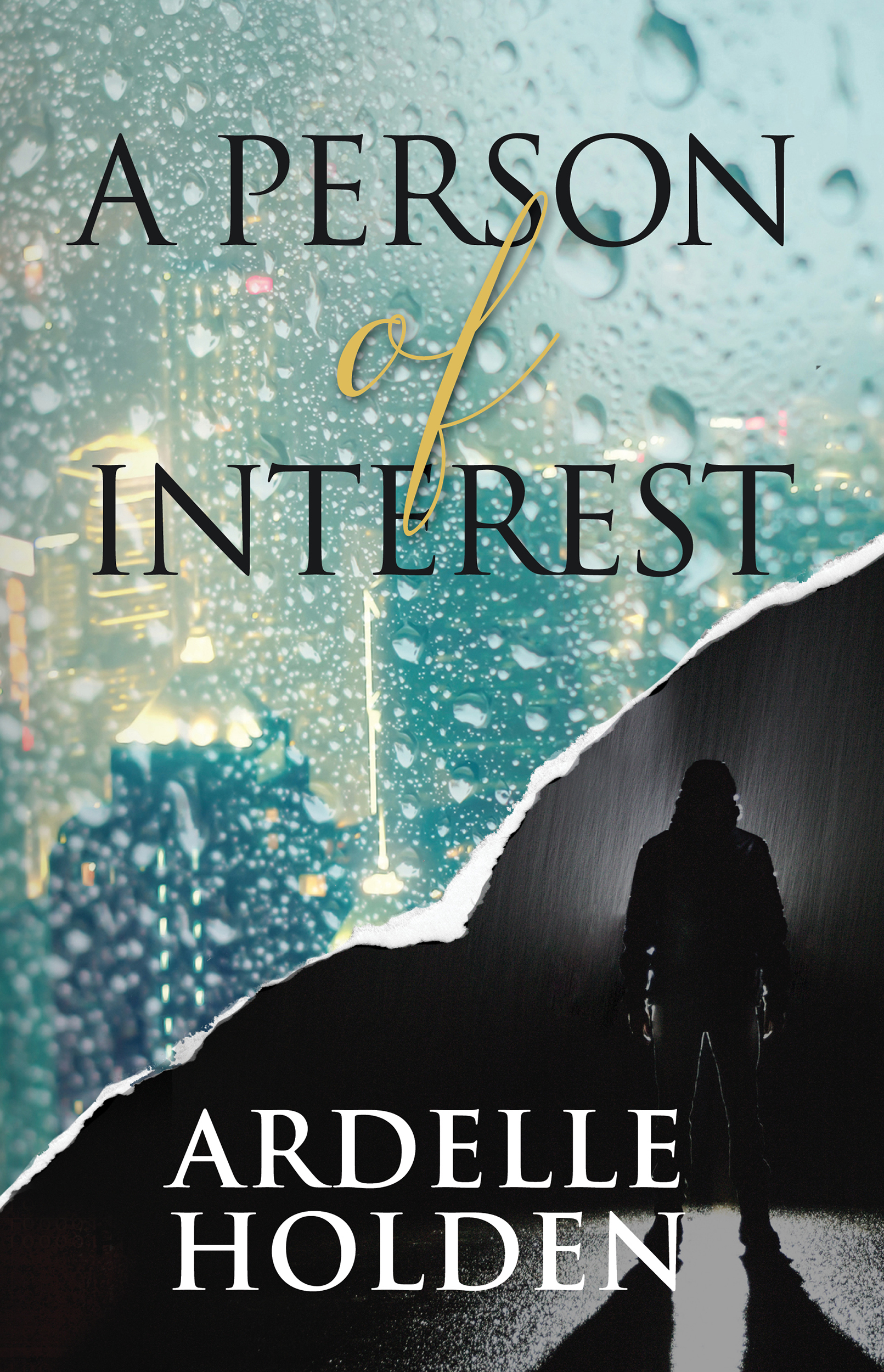 A Person of Interest