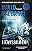 I kryssilden by David Baldacci