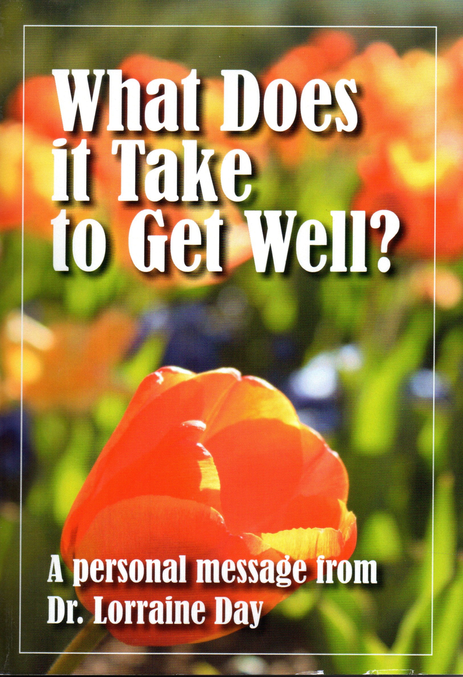 What Does it Take to Get Well (Paperback)