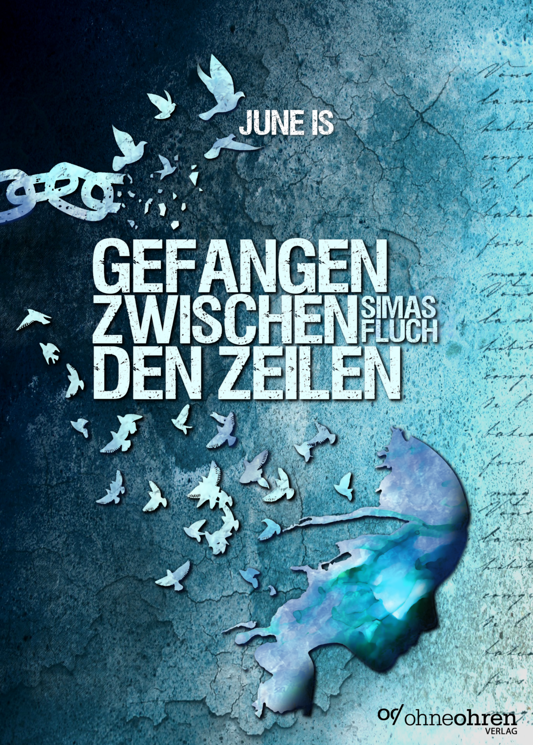 Gefangen zwischen den Zeilen: Simas Fluch (Paperback)