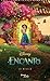 Encanto: La novela