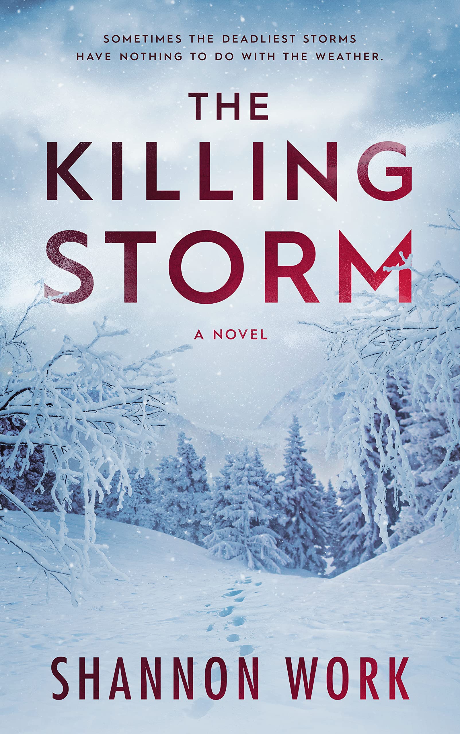 The Killing Storm (Mountain Resort Mystery #3)