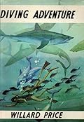 Diving Adventure