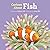 Curious About Fish