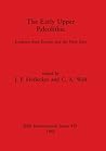 The Early Upper Paleolithic: Evidence from Europe and the Near East (BAR International)