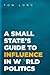 A Small State's Guide to Influence in World Politics (Bridging the Gap)
