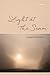 Light at the Seam: Poems