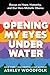 Opening My Eyes Underwater: Essays on Hope, Humanity, and Our Hero Michelle Obama