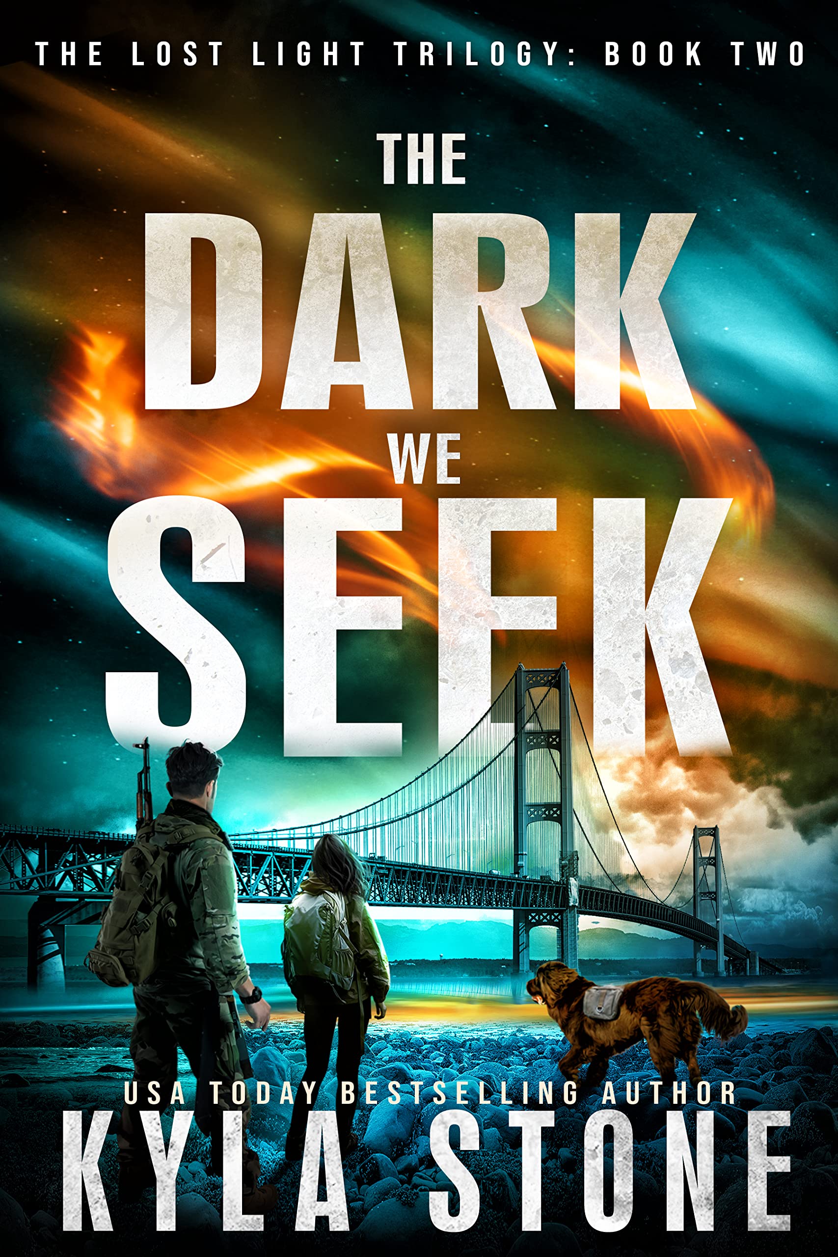 The Dark We Seek (Lost Light, #2)