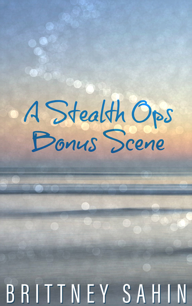 Stealth Ops Bonus Scenes #3 (ebook)