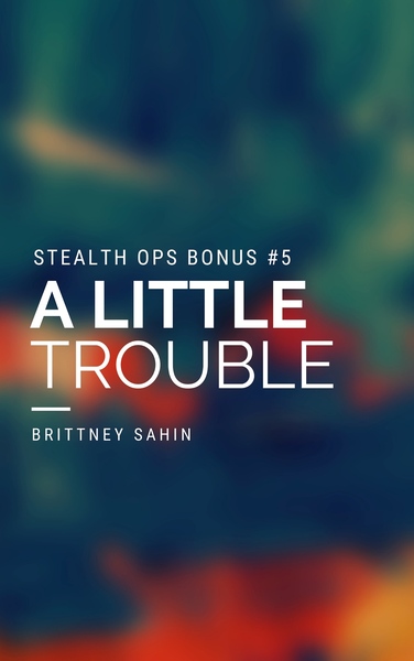 Stealth Ops Bonus Scenes #5: A Little Trouble (ebook)