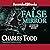 A False Mirror (Inspector Ian Rutledge Mysteries, Book 9)