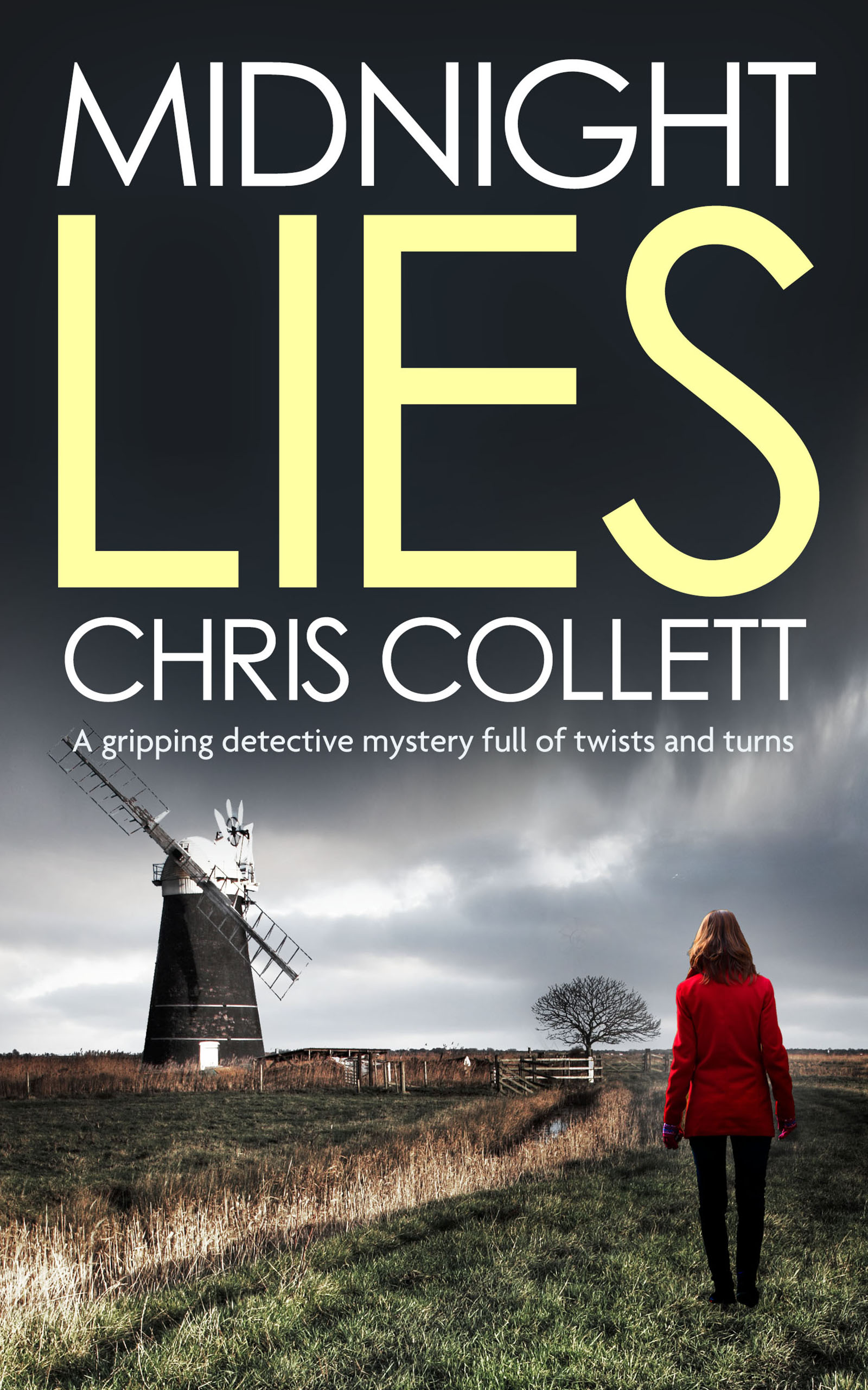 Midnight Lies (Kindle Edition)