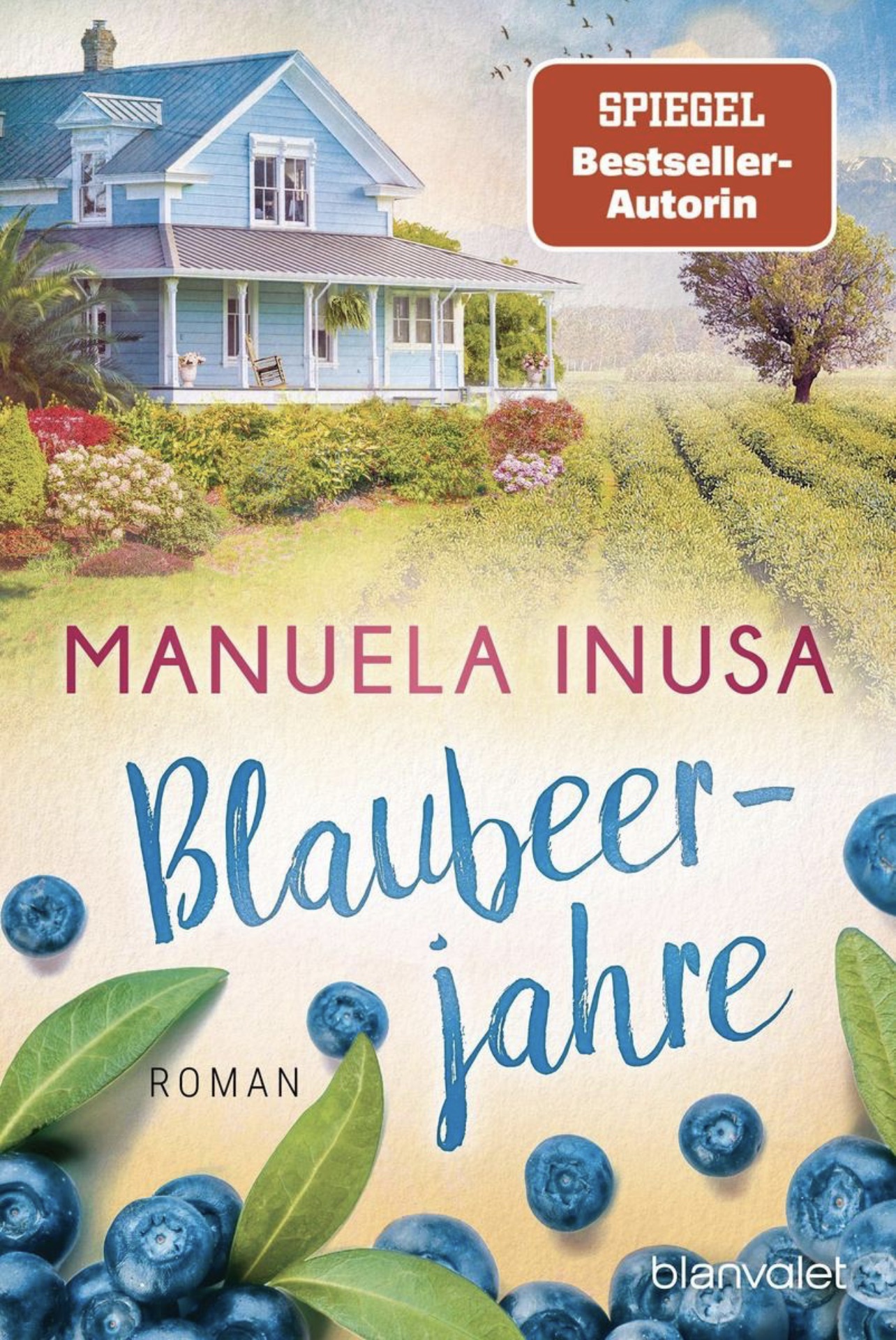 Blaubeerjahre (Paperback)