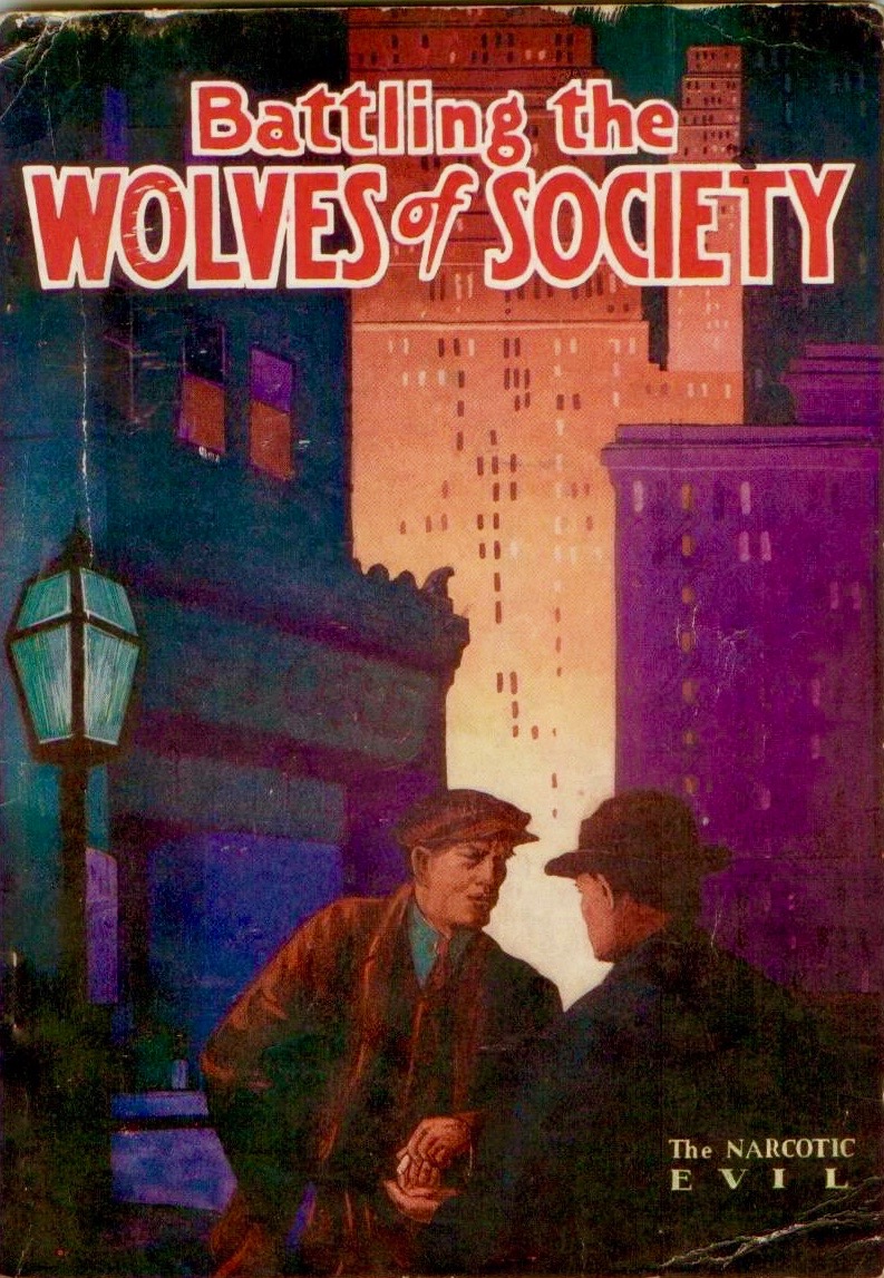 Battling the Wolves of Society: The Narcotic Evil (Paperback)