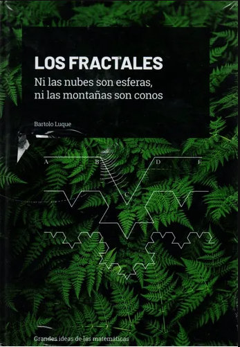 Los Fractales