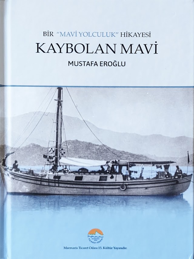 Bir "Mavi Yolculuk" Hikayesi : Kaybolan Mavi (Hardcover)