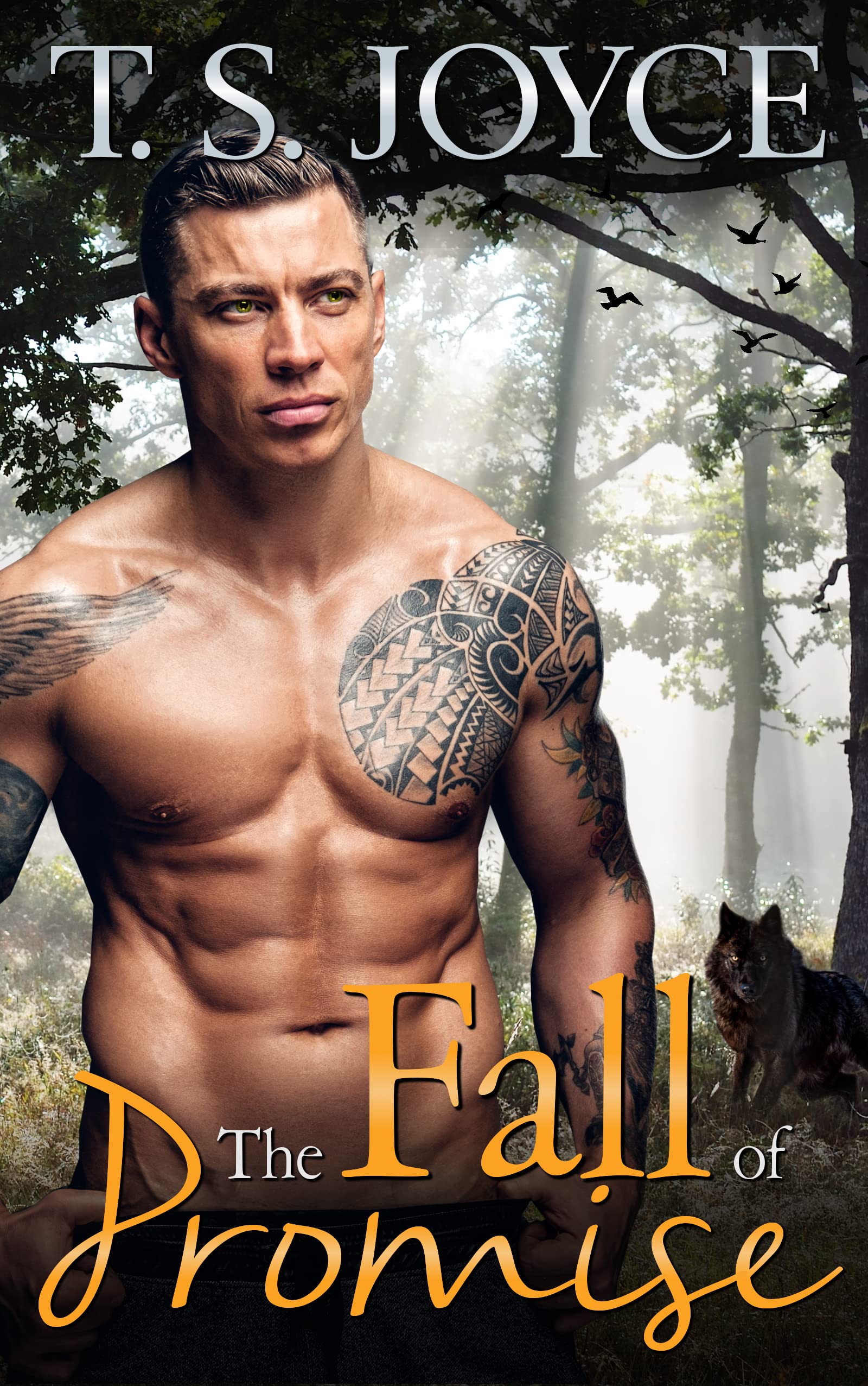 The Fall of Promise (The Wolves of Promise Falls, #1)