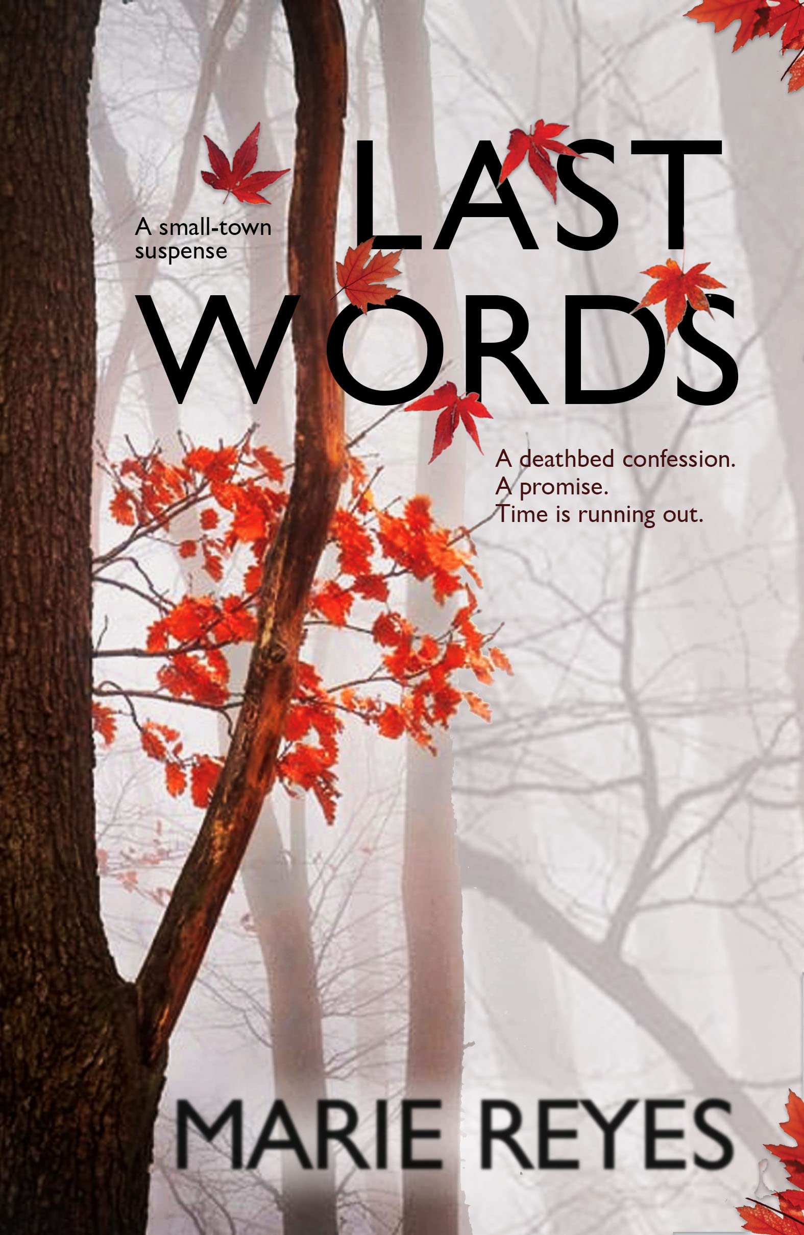 Last Words: A deathbed confession. A promise. Time is running out. (ebook)