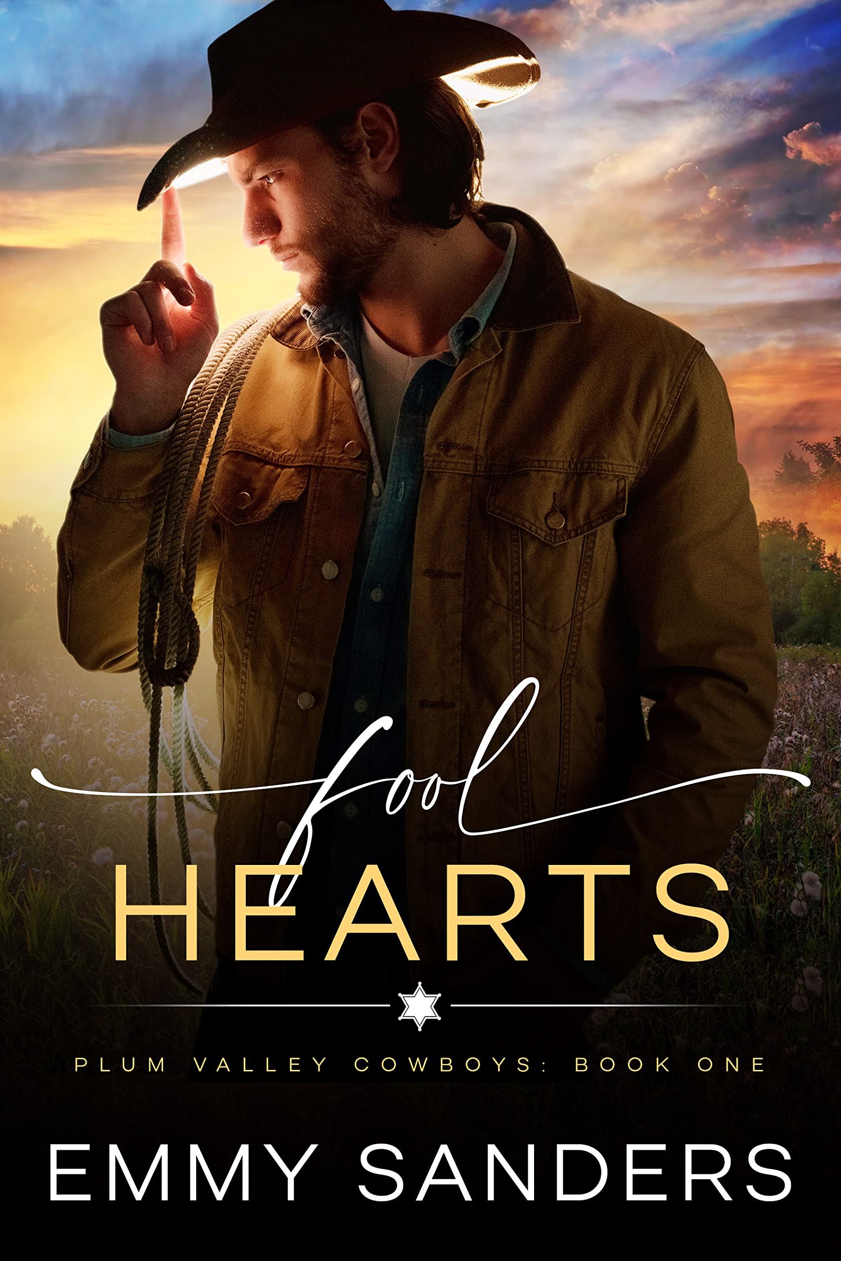 Fool Hearts (Plum Valley Cowboys, #1)