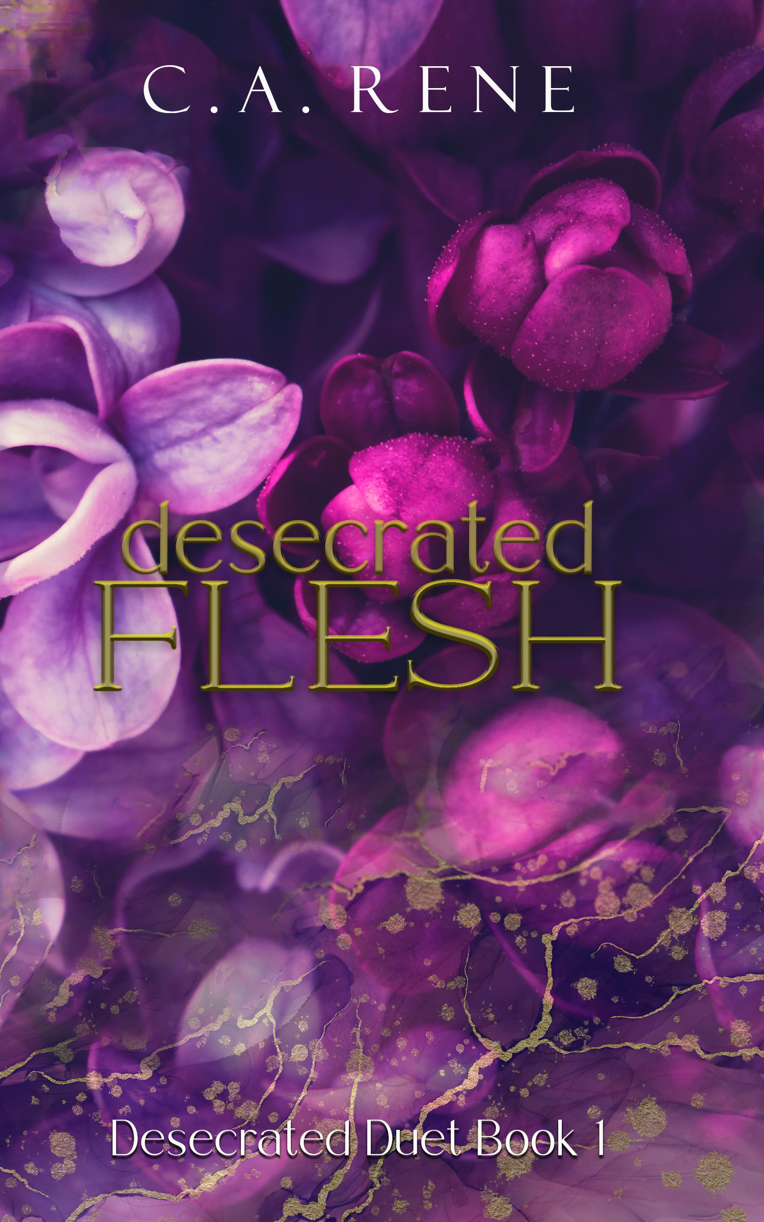 Desecrated Flesh (Desecrated Duet, #1)