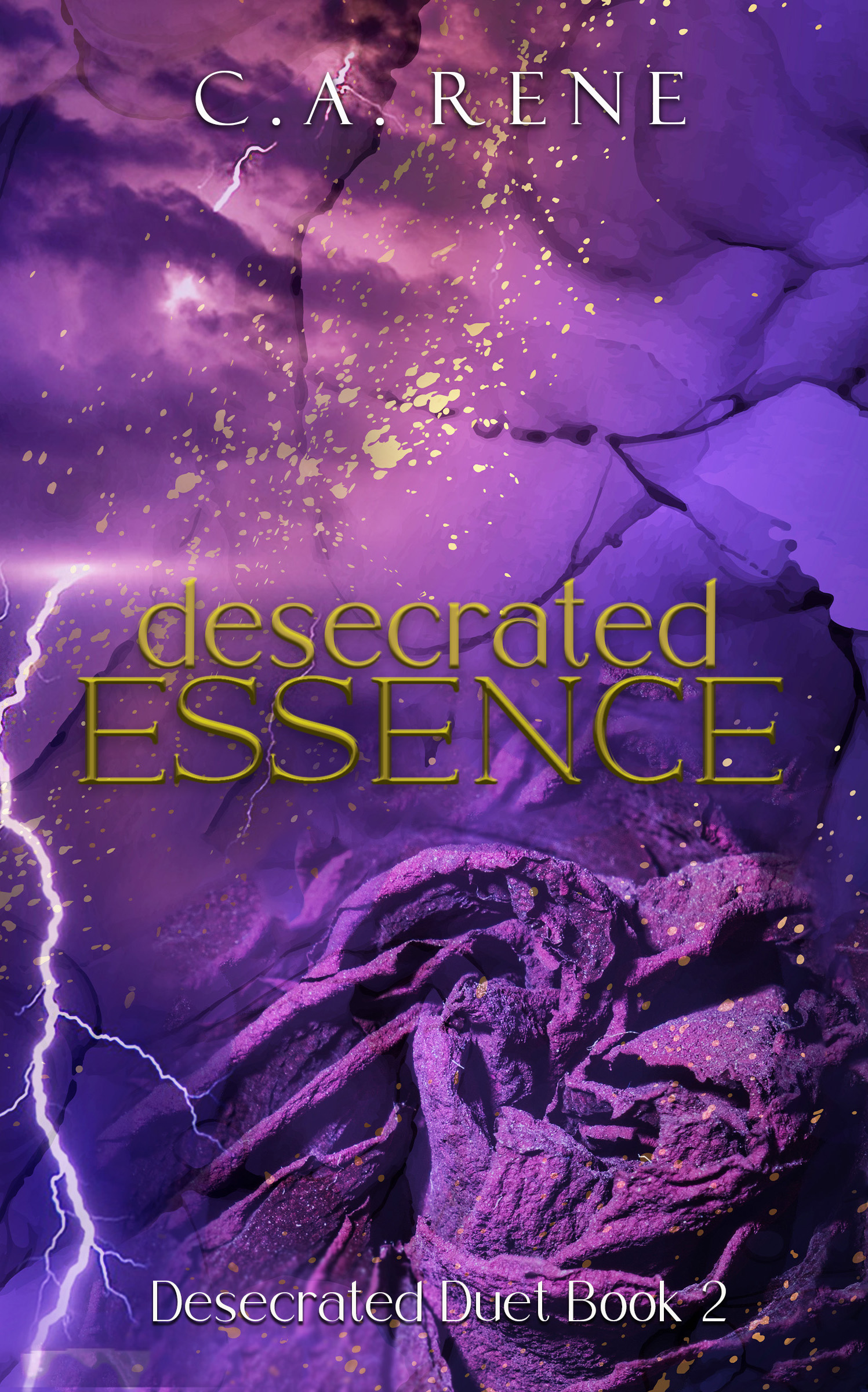 Desecrated Essence (Desecrated Duet Book 2)