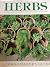 Herbs: A Connoisseur's Guide